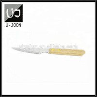 LFGB Qualtity Stainless Steel Steak Knife with Wooden Handle UJ-CL003